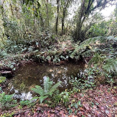 Willa La Bromelia/Cabana De Montana, Cerro De La Muerte. Cartago Zewnętrze zdjęcie